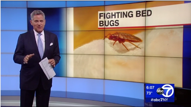 Battling bedbugs  New York City Council bill would create online map   abc7ny.com.png